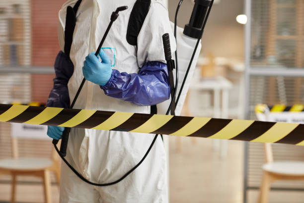 Professional Sewage Cleanup technician working in Spring Valley, WI